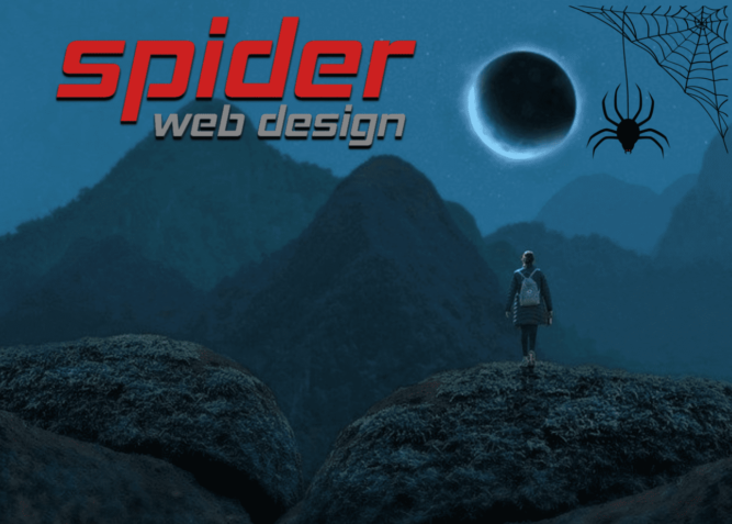 spider web design company