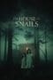 Nonton film The House of Snails (2021) terbaru di Dutamovie21 Nonton film The House of Snails (2021) terbaru di Dutamovie21