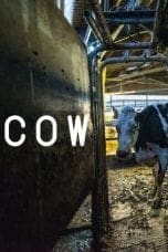 Nonton film Cow (2022) terbaru di Dutamovie21 Nonton film Cow (2022) terbaru di Dutamovie21