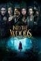 Nonton film Into the Woods (2014) terbaru di Dutamovie21 Nonton film Into the Woods (2014) terbaru di Dutamovie21