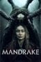 Nonton film Mandrake (2022) terbaru di Dutamovie21 Nonton film Mandrake (2022) terbaru di Dutamovie21