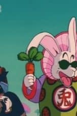 Nonton film Dragon Ball Season 1 Episode 9 terbaru di Dutamovie21