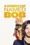 Nonton film A Street Cat Named Bob (2016) terbaru di Dutamovie21 Nonton film A Street Cat Named Bob (2016) terbaru di Dutamovie21