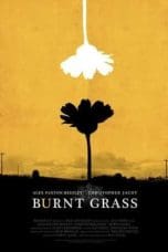Nonton film Burnt Grass (2022) terbaru di Dutamovie21 Nonton film Burnt Grass (2022) terbaru di Dutamovie21