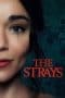 Nonton film The Strays (2023) terbaru di Dutamovie21 Nonton film The Strays (2023) terbaru di Dutamovie21