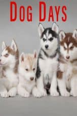 Nonton film Dog Days (2016) terbaru di Dutamovie21 Nonton film Dog Days (2016) terbaru di Dutamovie21