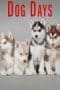 Nonton film Dog Days (2016) terbaru di Dutamovie21 Nonton film Dog Days (2016) terbaru di Dutamovie21
