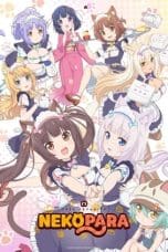 Nonton film Nekopara (2020) terbaru di Dutamovie21 Nonton film Nekopara (2020) terbaru di Dutamovie21