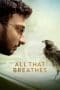 Nonton film All That Breathes  (2022) terbaru di Dutamovie21
