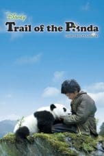 Nonton film Trail of the Panda (2009) terbaru di Dutamovie21 Nonton film Trail of the Panda (2009) terbaru di Dutamovie21