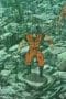 Nonton film Toriko Season 3 Episode 20 terbaru di Dutamovie21 Nonton film Toriko Season 3 Episode 20 terbaru di Dutamovie21