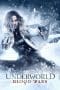 Nonton film Underworld: Blood Wars (2016) terbaru di Dutamovie21 Nonton film Underworld: Blood Wars (2016) terbaru di Dutamovie21