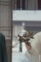 Nonton film Mysterious Lotus Casebook Season 1 Episode 4 terbaru di Dutamovie21