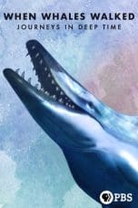 Nonton film When Whales Walked: Journeys in Deep Time (2019) terbaru di Dutamovie21 Nonton film When Whales Walked: Journeys in Deep Time (2019) terbaru di Dutamovie21