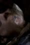 Nonton film Supernatural Season 1 Episode 18 terbaru di Dutamovie21 Nonton film Supernatural Season 1 Episode 18 terbaru di Dutamovie21