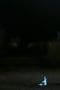 Nonton film Supernatural Season 4 Episode 10 terbaru di Dutamovie21 Nonton film Supernatural Season 4 Episode 10 terbaru di Dutamovie21
