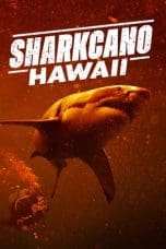 Nonton film Sharkcano: Hawaii (2023) terbaru di Dutamovie21 Nonton film Sharkcano: Hawaii (2023) terbaru di Dutamovie21