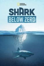 Nonton film Shark Below Zero (2023) terbaru di Dutamovie21 Nonton film Shark Below Zero (2023) terbaru di Dutamovie21