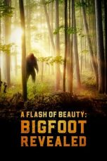 Nonton film A Flash of Beauty: Bigfoot Revealed (2022) terbaru di Dutamovie21 Nonton film A Flash of Beauty: Bigfoot Revealed (2022) terbaru di Dutamovie21