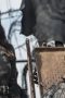 Nonton film The 100 Season 3 Episode 4 terbaru di Dutamovie21 Nonton film The 100 Season 3 Episode 4 terbaru di Dutamovie21