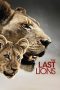 Nonton film The Last Lions (2011) terbaru di Dutamovie21 Nonton film The Last Lions (2011) terbaru di Dutamovie21