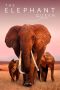 Nonton film The Elephant Queen (2019) terbaru di Dutamovie21 Nonton film The Elephant Queen (2019) terbaru di Dutamovie21