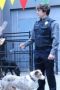 Nonton film Animal Control Season 1 Episode 9 terbaru di Dutamovie21