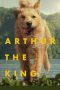 Nonton film Arthur the King (2024) terbaru di Dutamovie21 Nonton film Arthur the King (2024) terbaru di Dutamovie21