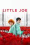 Nonton film Little Joe (2019) terbaru di Dutamovie21 Nonton film Little Joe (2019) terbaru di Dutamovie21