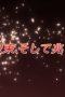 Nonton film Shakugan no Shana Season 2 Episode 13 terbaru di Dutamovie21