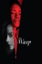 Nonton film The Wasp (2024) terbaru di Dutamovie21 Nonton film The Wasp (2024) terbaru di Dutamovie21
