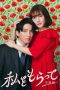 Nonton film Watashi wo Moratte Season 2 (Take Me) (2024) terbaru di Dutamovie21 Nonton film Watashi wo Moratte Season 2 (Take Me) (2024) terbaru di Dutamovie21