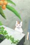 Nonton film Natsume Yujin-cho Season 7 Episode 9 terbaru di Dutamovie21