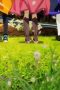 Nonton film Momentary Lily Season 1 Episode 3 terbaru di Dutamovie21 Nonton film Momentary Lily Season 1 Episode 3 terbaru di Dutamovie21