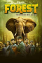 Nonton film Forest (2025) terbaru di Dutamovie21 Nonton film Forest (2025) terbaru di Dutamovie21