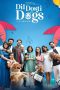 Nonton film Dil Dosti Aur Dogs (2025) terbaru di Dutamovie21 Nonton film Dil Dosti Aur Dogs (2025) terbaru di Dutamovie21