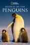 Nonton film Secrets of the Penguins (2025) terbaru di Dutamovie21