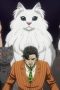 Nonton film Nyaight of the Living Cat Season 1 Episode 3 terbaru di Dutamovie21