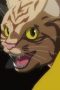 Nonton film Nyaight of the Living Cat Season 1 Episode 1 terbaru di Dutamovie21