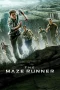 Nonton film The Maze Runner (2014) terbaru di Dutamovie21