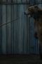 Nonton film Game of Thrones Season 3 Episode 7 terbaru di Dutamovie21 Nonton film Game of Thrones Season 3 Episode 7 terbaru di Dutamovie21