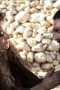 Nonton film Game of Thrones Season 1 Episode 8 terbaru di Dutamovie21 Nonton film Game of Thrones Season 1 Episode 8 terbaru di Dutamovie21