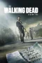 Nonton film The Walking Dead Season 5 (2014) terbaru di Dutamovie21 Nonton film The Walking Dead Season 5 (2014) terbaru di Dutamovie21