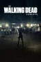 Nonton film The Walking Dead Season 7 (2016) terbaru di Dutamovie21 Nonton film The Walking Dead Season 7 (2016) terbaru di Dutamovie21