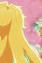 Nonton film The Shy Hero and the Assassin Princesses Season 1 Episode 12 terbaru di Dutamovie21