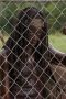 Nonton film The Walking Dead Season 3 Episode 7 terbaru di Dutamovie21