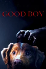 Nonton film Good Boy (2025) terbaru di Dutamovie21 Nonton film Good Boy (2025) terbaru di Dutamovie21