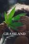 Nonton film Grassland (2024) terbaru di Dutamovie21 Nonton film Grassland (2024) terbaru di Dutamovie21