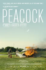 Nonton film Peacock (2024) terbaru di Dutamovie21