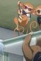 Nonton film GINTAMA – Mr. Ginpachi’s Zany Class Season 1 Episode 2 terbaru di Dutamovie21